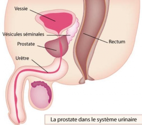 StefMar Ceai prostata 50 g